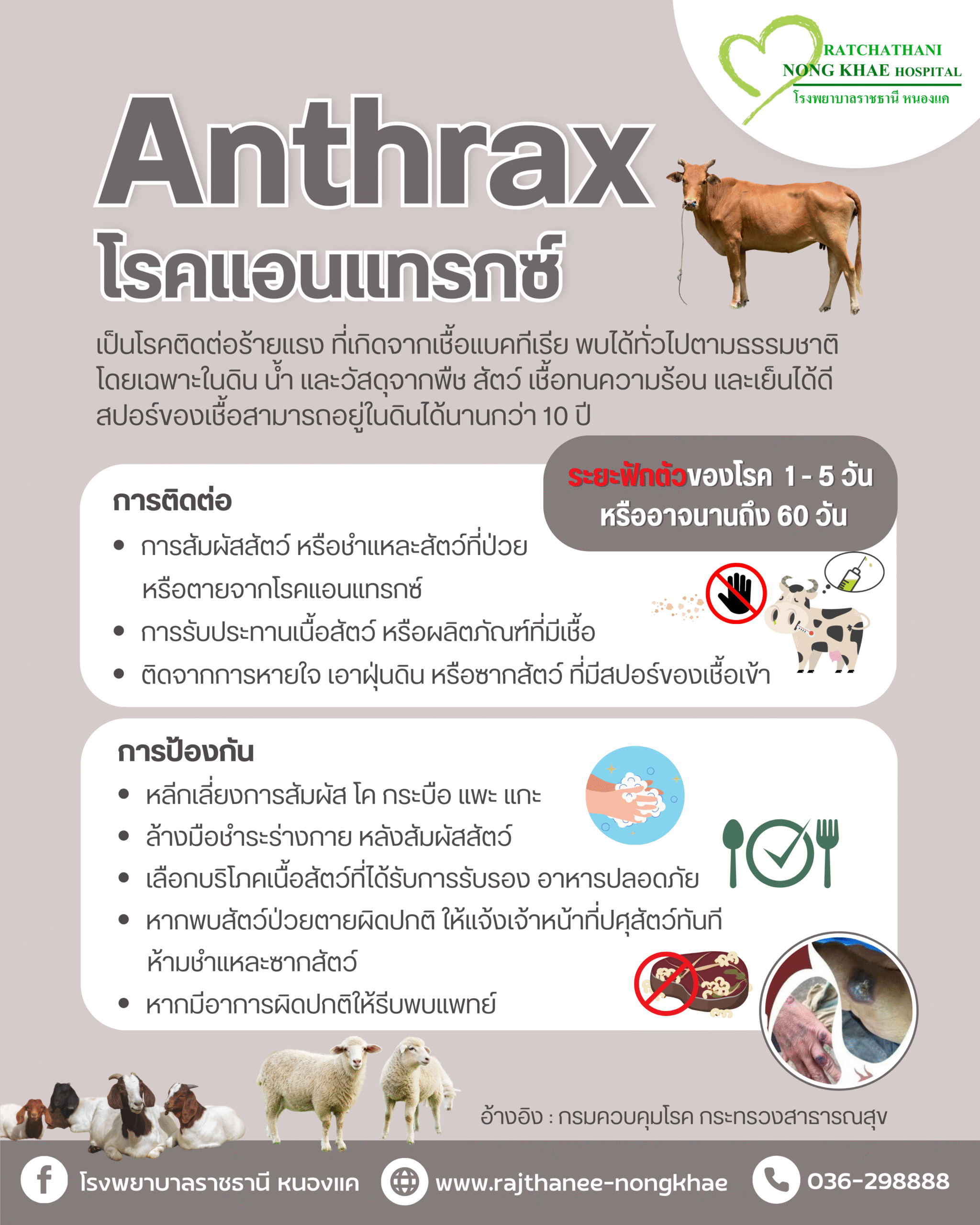 Anthrax โรคแอนแทรกซ์ (2)