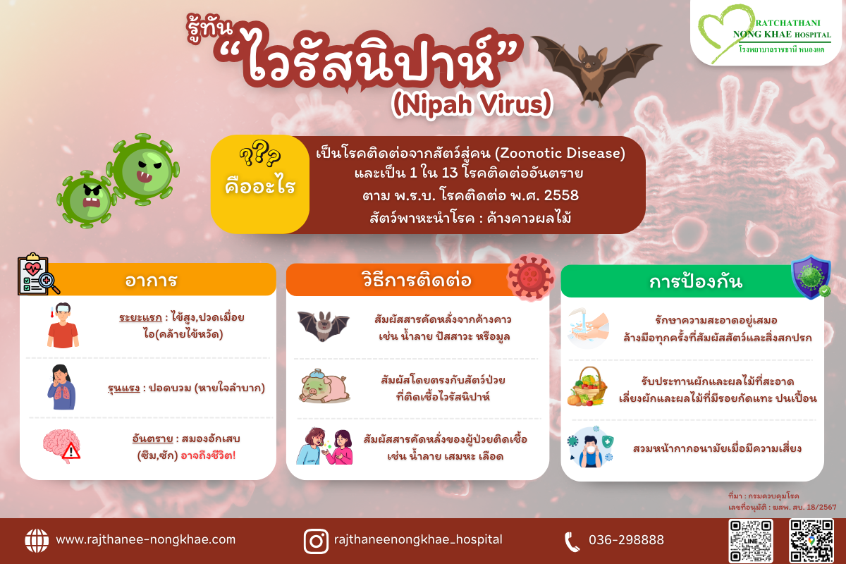 เกร็ดความรู้ ไวรัสนิปาห์